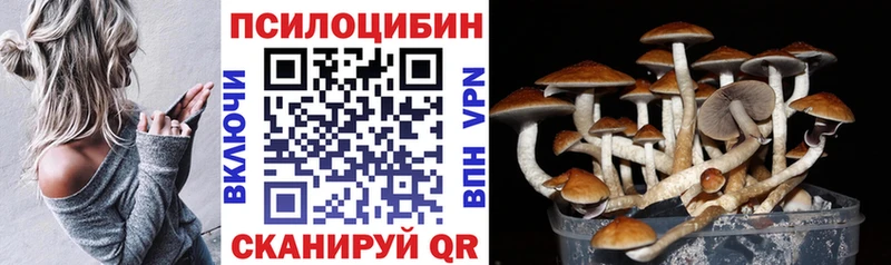 купить наркотик  shop какой сайт  Псилоцибиновые грибы мухоморы  Кострома 